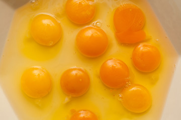 Egg yolks