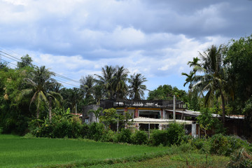Fototapeta na wymiar rural village in Vietnam countryside