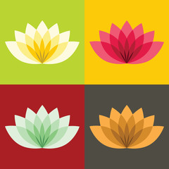 Flat lotos flowers on color background