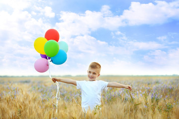 Little happy boy with balloons in the field