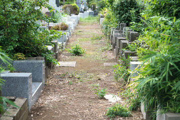 日本の墓地