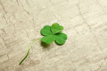 Green four-leaf clover on wooden background