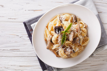 pasta with roasted porcini mushrooms and parmesan close-up. horizontal top view 
