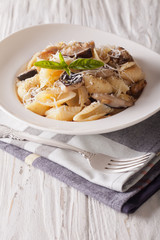 Italian cuisine: Conchiglie with porcini and parmesan close-up. Vertical
