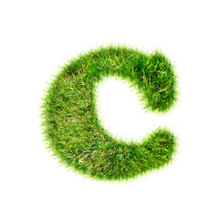 Capital latin letter of green grass