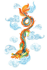 Chinese Dragon. Asian dragon illustration