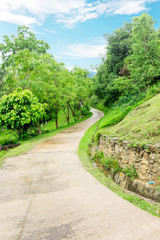Pathway among greenery lawn with ornamental trees in outdoor garden