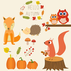 The little fox ,pumpkins,owls,squirrel,hedgehog,mushroom with he
