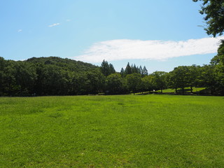 夏の公園
