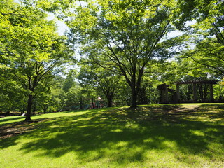夏の公園