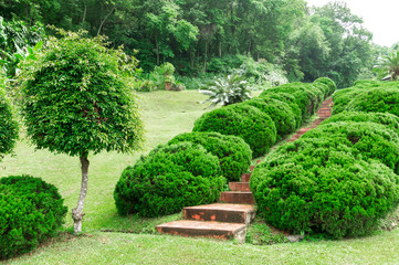 Pathway among greenery lawn with ornamental trees in outdoor garden