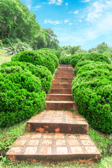 Pathway among greenery lawn with ornamental trees in outdoor garden