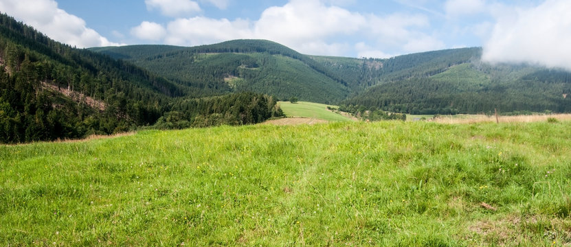 meadow with Kralicky Sneznik mountain range above Stribrnice village during nice summer day with blue sky and clouds