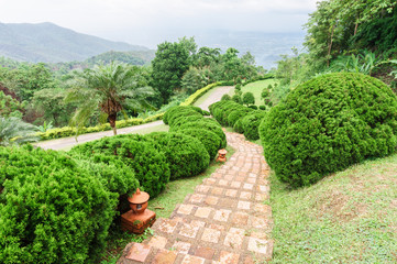 Pathway among greenery lawn with ornamental trees in outdoor garden