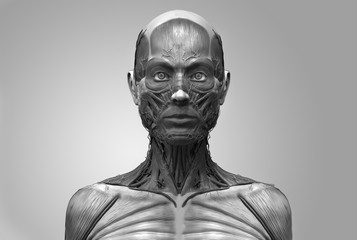 human anatomy of a female , anatomy of the head neck and chest in realistic 3d rendering in black and white