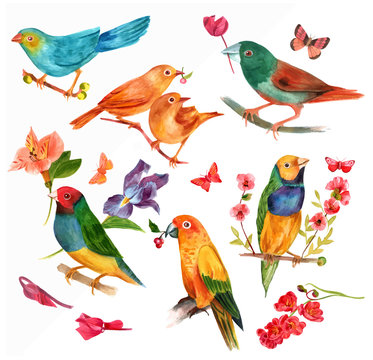 Set of Victorian style vector watercolor birds with butterflies