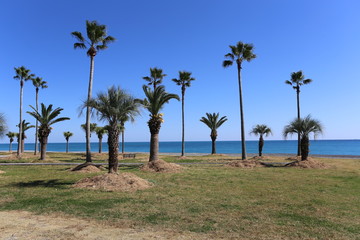 Obraz premium 七里御浜海岸