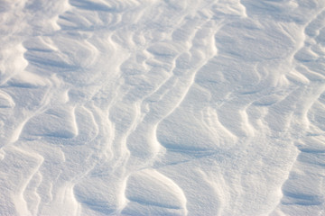 background snow waves at sunset by the wind