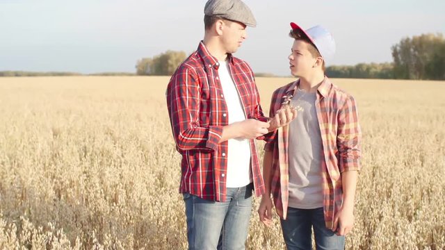 Panning of farmer and his young son standing in middle of field, father gently touching freshly picked ripe oat crops, showing them to his teenage son and teaching him about rural life