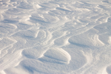 background snow waves at sunset by the wind