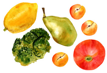 Set of watercolor drawings of fruits and vegetables on white