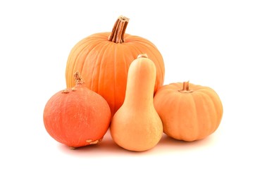 Pie pumpkins. Pie pumpkins on white background.  