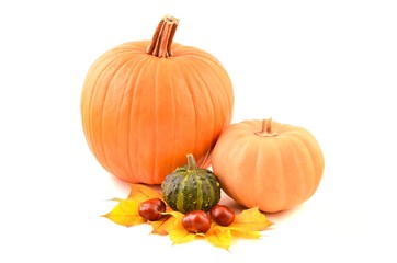 Pumpkins and autumn fruits. Pumpkins vegetables. Decoration. 
