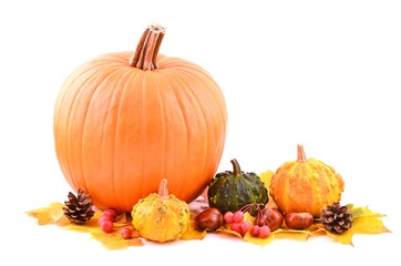 Pumpkins and autumn fruits. Pumpkins vegetables. Decoration. 