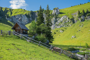 Kleine Kapelle mit Garten und grasender Kuh in der Wanderregion