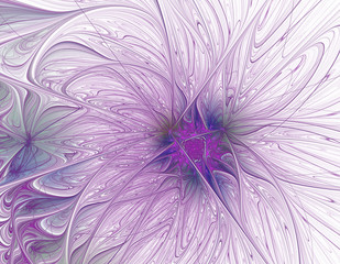 Obraz premium Abstract beautiful purple flower on white background