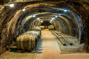 Fototapeta na wymiar Old wine cellar with oak barrels in Hungary