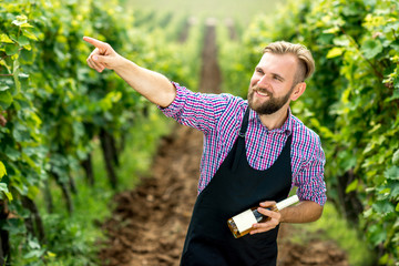 Portrait of handsome wine maker in apron with bottle of white wine standing on the vineyard
