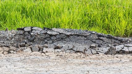 Asphalt break crack grass.