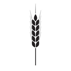 Fototapeta premium Wheat ears or rice icon. Agricultural symbol isolated on white background. Design element for bread packaging or beer label. Vector illustration.