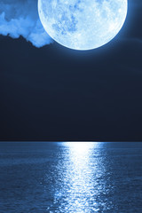 Moonrise over sea / ocean.