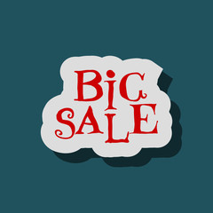 Big Sale flat label on green background.