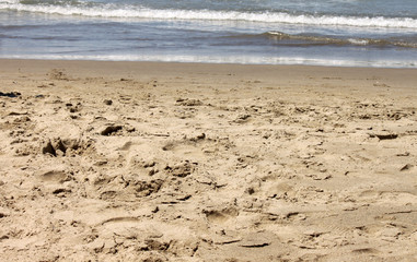beautiful seascape with fresh cold clear water in summer, selective focus