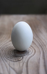 White egg vertical