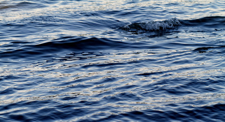 Water background