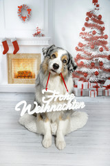 Ein Hund sitzt in einem weihnachtlichen Wohnzimmer mit Weihnachtsbaum, Kamin und Geschenken und hält den Schriftzug „Frohe Weihnachten“ in der Schnauze.