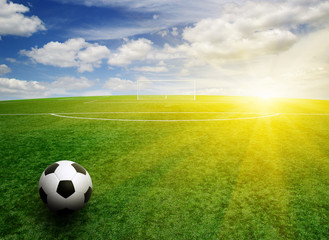 Plakat soccer ball on the grass