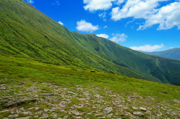 Mountain landscape in the summer