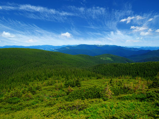 Mountain landscape in the summer