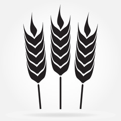 Wheat ears icon. Agricultural symbol isolated on white background. Design element for bread packaging or beer label. Vector illustration.