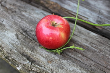 Apple lying on wooden boards