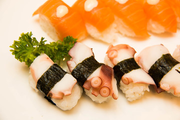 traditional Sushi on white Background