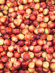 White flesh nectarine close up. Early morning in farmers market.