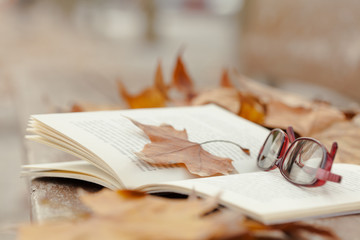 Book and  glasses  in autumn park.