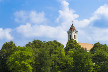 Fototapeta na wymiar Catholic Church Surrounded by Trees with Blue Cloudy Sky