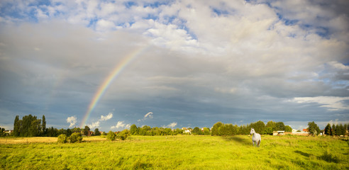 Tęcza po ulewie nad wiejskim pejzażem © Mike Mareen